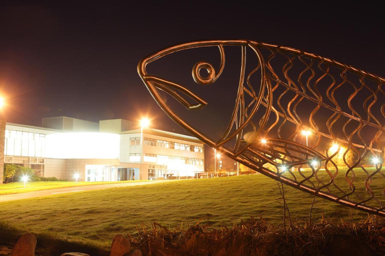 Causeway Holiday Homes Coleraine Exterior foto